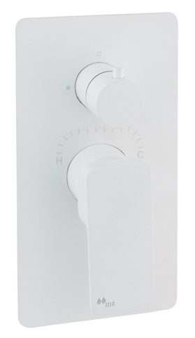 TRIM SINGLE LEVER SHOWER SOLID FLANGE 9.84X4.96 ARA MODEL MATT WHITE
